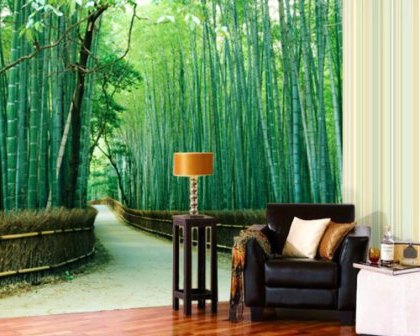 фотообои на стену фото для зала фотообои на стену фото для зала